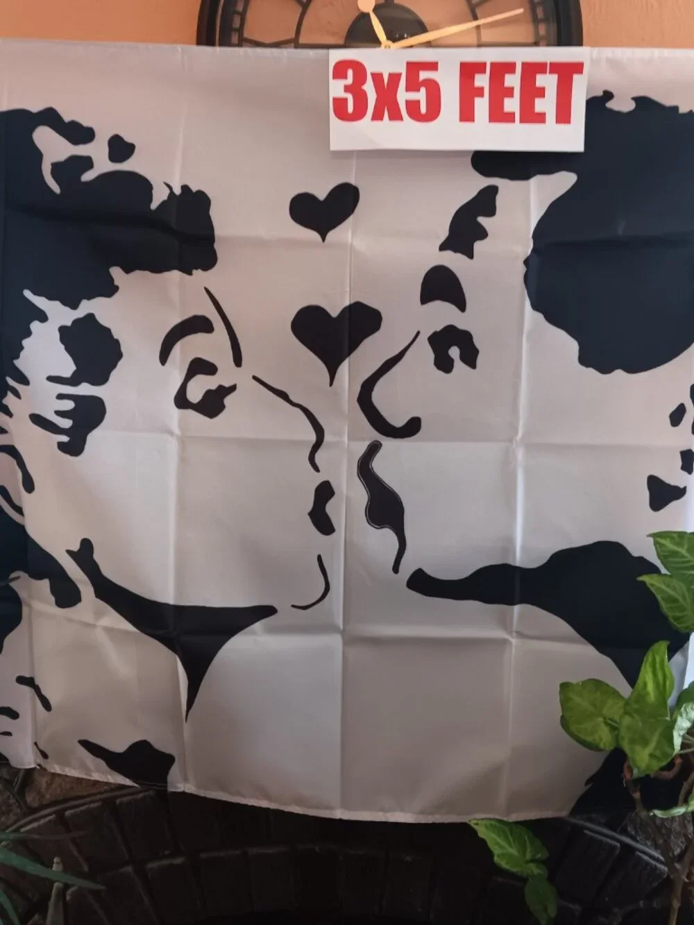 Lucy Desi 3x5 Flag Black & White Silhouette